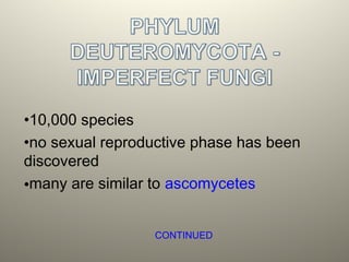 •10,000 species
•no sexual reproductive phase has been
discovered
•many are similar to ascomycetes
CONTINUED
 