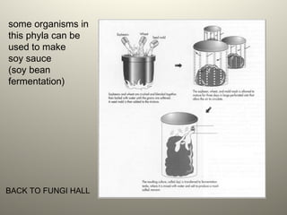 some organisms in
this phyla can be
used to make
soy sauce
(soy bean
fermentation)
BACK TO FUNGI HALL
 
