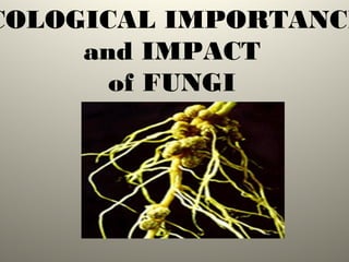 COLOGICAL IMPORTANCE
and IMPACT
of FUNGI
 