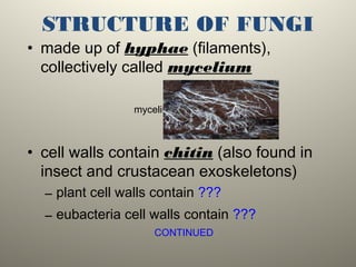 STRUCTURE OF FUNGI
• made up of hyphae (filaments),
collectively called mycelium
mycelium 
• cell walls contain chitin (also found in
insect and crustacean exoskeletons)
– plant cell walls contain ???
– eubacteria cell walls contain ???
CONTINUED
 