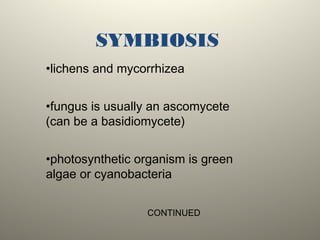 SYMBIOSIS
•lichens and mycorrhizea
•fungus is usually an ascomycete
(can be a basidiomycete)
•photosynthetic organism is green
algae or cyanobacteria
CONTINUED
 