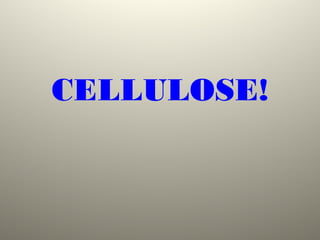 CELLULOSE!
 