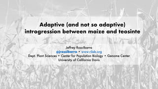 Adaptive (and not so adaptive)
introgression between maize and teosinte
Jeffrey Ross-Ibarra
@jrossibarra • www.rilab.org
Dept. Plant Sciences • Center for Population Biology • Genome Center
University of California Davis
photo by lady_lbrty
 