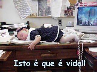 Isto é que é vida!! 