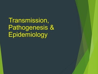 Transmission,
Pathogenesis &
Epidemiology
 