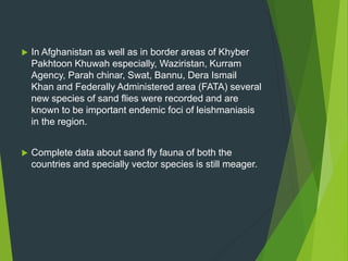  In Afghanistan as well as in border areas of Khyber
Pakhtoon Khuwah especially, Waziristan, Kurram
Agency, Parah chinar, Swat, Bannu, Dera Ismail
Khan and Federally Administered area (FATA) several
new species of sand flies were recorded and are
known to be important endemic foci of leishmaniasis
in the region.
 Complete data about sand fly fauna of both the
countries and specially vector species is still meager.
 