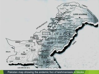 Pakistan map showing the endemic foci of leishmaniasis in blocks
 