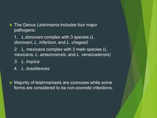  The Genus Leishmania includes four major
pathogens:
1. L.donovani complex with 3 species (L.
donovani, L. infantum, and L. chagasi)
2. L. mexicana complex with 3 main species (L.
mexicana, L. amazonensis, and L. venezuelensis)
3. L. tropica
4. L. braziliences
 Majority of leishmaniasis are zoonoses while some
forms are considered to be non-zoonotic infections.
 