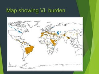 Map showing VL burden
 