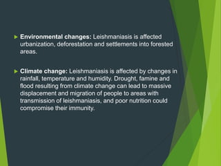  Environmental changes: Leishmaniasis is affected
urbanization, deforestation and settlements into forested
areas.
 Climate change: Leishmaniasis is affected by changes in
rainfall, temperature and humidity. Drought, famine and
flood resulting from climate change can lead to massive
displacement and migration of people to areas with
transmission of leishmaniasis, and poor nutrition could
compromise their immunity.
 