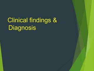 Clinical findings &
Diagnosis
 