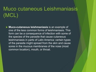 Muco cutaneous Leishmaniasis
(MCL)
 Muco-cutaneous leishmaniasis is an example of
one of the less common forms of leishmaniasis. This
form can be a consequence of infection with some of
the species of the parasite that cause cutaneous
leishmaniasis in parts of Latin America: certain types
of the parasite might spread from the skin and cause
sores in the mucous membranes of the nose (most
common location), mouth, or throat.
 