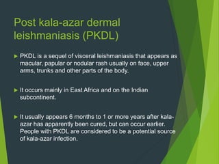 Post kala-azar dermal
leishmaniasis (PKDL)
 PKDL is a sequel of visceral leishmaniasis that appears as
macular, papular or nodular rash usually on face, upper
arms, trunks and other parts of the body.
 It occurs mainly in East Africa and on the Indian
subcontinent.
 It usually appears 6 months to 1 or more years after kala-
azar has apparently been cured, but can occur earlier.
People with PKDL are considered to be a potential source
of kala-azar infection.
 