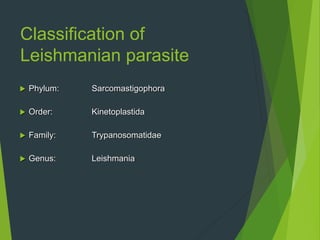 Classification of
Leishmanian parasite
 Phylum: Sarcomastigophora
 Order: Kinetoplastida
 Family: Trypanosomatidae
 Genus: Leishmania
 