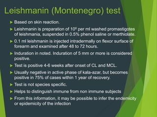Leishmanin (Montenegro) test
 Based on skin reaction.
 Leishmanin is preparation of 106 per ml washed promastigotes
of leishmania, suspended in 0.5% phenol saline or merthiolate.
 0.1 ml leishmanin is injected intradermally on flexor surface of
forearm and examined after 48 to 72 hours.
 Induration in noted. Induration of 5 mm or more is considered
positive.
 Test is positive 4-6 weeks after onset of CL and MCL.
 Usually negative in active phase of kala-azar, but becomes
positive in 75% of cases within 1 year of recovery.
 Test is not species specific.
 Helps to distinguish immune from non immune subjects
 From this information, it may be possible to infer the endemicity
or epidemicity of the infection
 