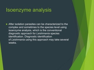 Isoenzyme analysis
 After isolation parasites can be characterized to the
complex and sometimes to the species level using
isoenzyme analysis, which is the conventional
diagnostic approach for Leishmania species
identification. Diagnostic identification
of Leishmania using this approach may take several
weeks.
 