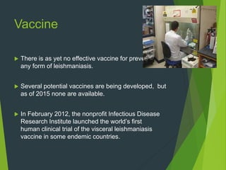 Vaccine
 There is as yet no effective vaccine for prevention of
any form of leishmaniasis.
 Several potential vaccines are being developed, but
as of 2015 none are available.
 In February 2012, the nonprofit Infectious Disease
Research Institute launched the world’s first
human clinical trial of the visceral leishmaniasis
vaccine in some endemic countries.
 