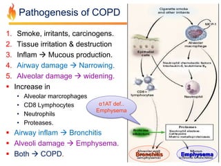 Pathogenesis of COPD 
1. Smoke, irritants, carcinogens. 
2. Tissue irritation & destruction 
3. Inflam  Mucous production. 
4. Airway damage  Narrowing. 
5. Alveolar damage  widening. 
 Increase in 
• Alveolar marcrophages 
• CD8 Lymphocytes 
• Neutrophils 
• Proteases. 
α1AT def.. 
Emphysema 
 Airway inflam  Bronchitis 
 Alveoli damage  Emphysema. 
 Both  COPD. 
Bronchitis Emphysema 
 