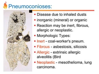Pneumoconioses: 
 Disease due to inhaled dusts 
 inorganic (mineral) or organic 
 Reaction may be inert, fibrous, 
allergic or neoplastic. 
 Morphologic Types: 
 Inert - coal-worker's pneum. 
 Fibrous - asbestosis, silicosis 
 Allergic - extrinsic allergic 
alveolitis (Bird 
 Neoplastic - mesothelioma, lung 
carcinoma. 
 