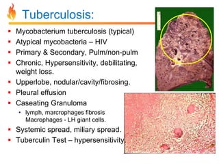 Tuberculosis: 
 Mycobacterium tuberculosis (typical) 
 Atypical mycobacteria – HIV 
 Primary & Secondary, Pulm/non-pulm 
 Chronic, Hypersensitivity, debilitating, 
weight loss. 
 Upperlobe, nodular/cavity/fibrosing. 
 Pleural effusion 
 Caseating Granuloma 
• lymph, marcrophages fibrosis 
Macrophages - LH giant cells. 
 Systemic spread, miliary spread. 
 Tuberculin Test – hypersensitivity. 
 