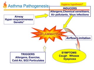 Asthma Pathogenesis: 
INFLAMMATION 
Hygiene hypothesis? 
Airflow Limitation 
SYMPTOMS 
Cough Wheeze 
Dyspnoea 
Airway 
Hyper-responsiveness 
Genetic* 
TRIGGERS 
Allergens, Exercise, 
Cold Air, SO2 Particulates 
INDUCERS 
Allergens,Chemical sensitisers, 
Air pollutants, Virus infections 
 