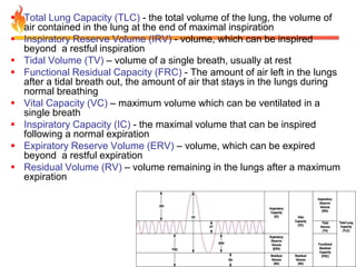  Total Lung Capacity (TLC) - the total volume of the lung, the volume of 
air contained in the lung at the end of maximal inspiration 
 Inspiratory Reserve Volume (IRV) - volume, which can be inspired 
beyond a restful inspiration 
 Tidal Volume (TV) – volume of a single breath, usually at rest 
 Functional Residual Capacity (FRC) - The amount of air left in the lungs 
after a tidal breath out, the amount of air that stays in the lungs during 
normal breathing 
 Vital Capacity (VC) – maximum volume which can be ventilated in a 
single breath 
 Inspiratory Capacity (IC) - the maximal volume that can be inspired 
following a normal expiration 
 Expiratory Reserve Volume (ERV) – volume, which can be expired 
beyond a restful expiration 
 Residual Volume (RV) – volume remaining in the lungs after a maximum 
expiration 
 