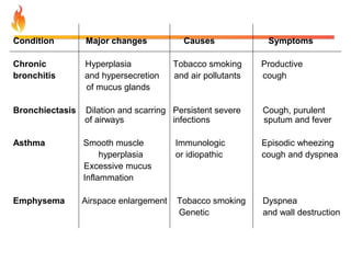 Condition Major changes Causes Symptoms 
Chronic Hyperplasia Tobacco smoking Productive 
bronchitis and hypersecretion and air pollutants cough 
of mucus glands 
Bronchiectasis Dilation and scarring Persistent severe Cough, purulent 
of airways infections sputum and fever 
Asthma Smooth muscle Immunologic Episodic wheezing 
hyperplasia or idiopathic cough and dyspnea 
Excessive mucus 
Inflammation 
Emphysema Airspace enlargement Tobacco smoking Dyspnea 
Genetic and wall destruction 
 