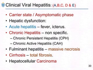 30
Clinical Viral Hepatitis: (A,B,C, D & E)
• Carrier state / Asymptomatic phase
• Hepatic dysfunction:
• Acute hepatitis – fever, icterus.
• Chronic Hepatitis – non specific.
– Chronic Persistent Hepatitis (CPH)
– Chronic Active Hepatitis (CAH)
• Fulminant hepatitis – massive necrosis
• Cirrhosis – total fibrosis.
• Hepatocellular Carcinoma
 