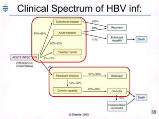 38
Clinical Spectrum of HBV inf:
 