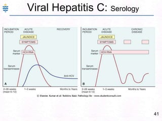 41
Viral Hepatitis C: Serology
 