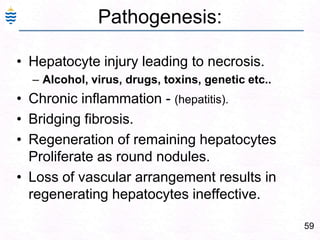 59
Pathogenesis:
• Hepatocyte injury leading to necrosis.
– Alcohol, virus, drugs, toxins, genetic etc..
• Chronic inflammation - (hepatitis).
• Bridging fibrosis.
• Regeneration of remaining hepatocytes
Proliferate as round nodules.
• Loss of vascular arrangement results in
regenerating hepatocytes ineffective.
 