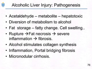 76
Alcoholic Liver Injury: Pathogenesis
• Acetaldehyde – metabolite – hepatotoxic
• Diversion of metabolism to alcohol
• Fat storage – fatty change. Cell swelling..
• Rupture Fat necrosis  severe
inflammation  fibrosis.
• Alcohol stimulates collagen synthesis
• Inflammation, Portal bridging fibrosis
• Micronodular cirrhosis.
 
