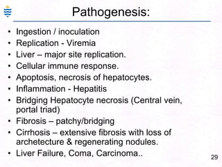 Coma17Clinical Features - PathogenesisHypoalbuminemia