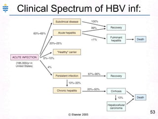 24Viral Hepatitis A: Serology