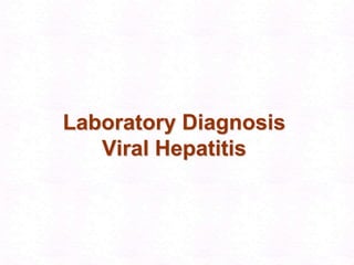 27Pathogenesis of Hepatitis A & B: