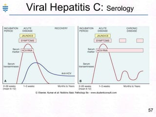 28History Hep B Virus:In 1965 - Dr. Blumberg who was studying haemophilia, found an antibody in two patients which reacted against an antigen from an Australian Aborigine. Later the antigen was found in patients with serum type hepatitis and was initially designated "Australia Antigen". Later proved to be hepatitis B virus surface antigen (HBsAg). Dr. Blumberg was awarded the Nobel Prize in 1976. 