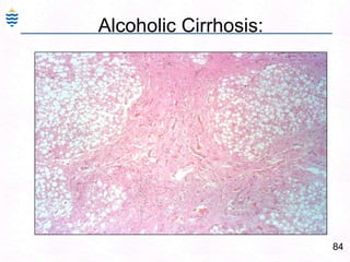 “Nearly all men can stand adversity, but if you want to test a man's character, give him power”—  Abraham Lincoln