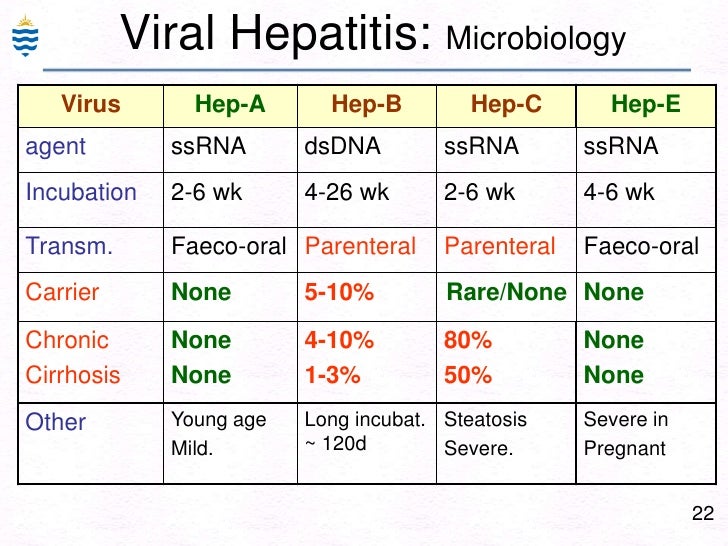 Pathology of Hepatitis