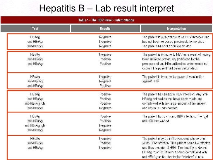 pathology of hepatitis cah chart