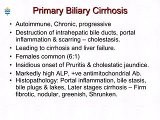 Primary Biliary Cirrhosis Autoimmune, Chronic, progressive  Destruction of intrahepatic bile ducts, portal inflammation & scarring – cholestasis. Leading to cirrhosis and liver failure. Females common (6:1) Insidious onset of Pruritis & cholestatic jaundice. Markedly high ALP, +ve antimitochondrial Ab. Histopathology: Portal inflammation, bile stasis, bile plugs & lakes, Later stages cirrhosis – Firm fibrotic, nodular, greenish, Shrunken. 