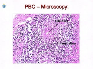 PBC – Microscopy: 