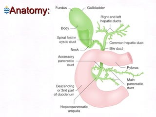 Anatomy: 