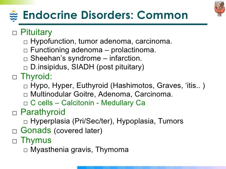 Medicine that deals with endocrine disorders