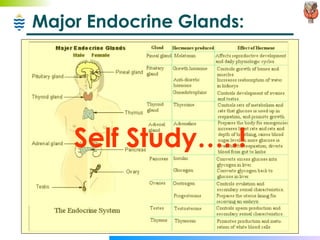 Major Endocrine Glands: Self Study…..! 