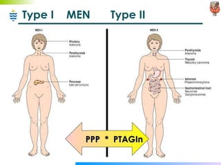 Type I  MEN Type II PPP  *  PTAGIn 