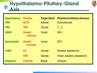 Hypothalamo-Pituitary-Gland Axis Hypothalamus Pituitary Target Gland Peripheral Inhibitory Hormone CRH ACTH Adrenal Corticosteroids TRH TSH Thyroid T 3 , T 4 GHRH Growth hormone Varied IGF-I Somatostatin Growth hormone Varied IGF-I LHRH LH Gonads Estradiol, testosterone   FSH Gonads Inhibin, estradiol, testosterone Dopamine Prolactin Breast Unknown 