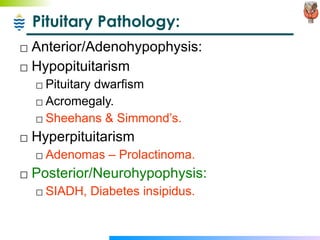 Pituitary Pathology: Anterior/Adenohypophysis: Hypopituitarism Pituitary dwarfism Acromegaly. Sheehans & Simmond’s. Hyperpituitarism Adenomas – Prolactinoma. Posterior/Neurohypophysis: SIADH, Diabetes insipidus. 