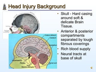 Head Injury Background <ul><li>Skull - Hard casing around soft & delicate Brain Tissue. </li></ul><ul><li>Anterior & poste...