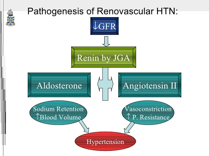 pathophysiology of hypertension