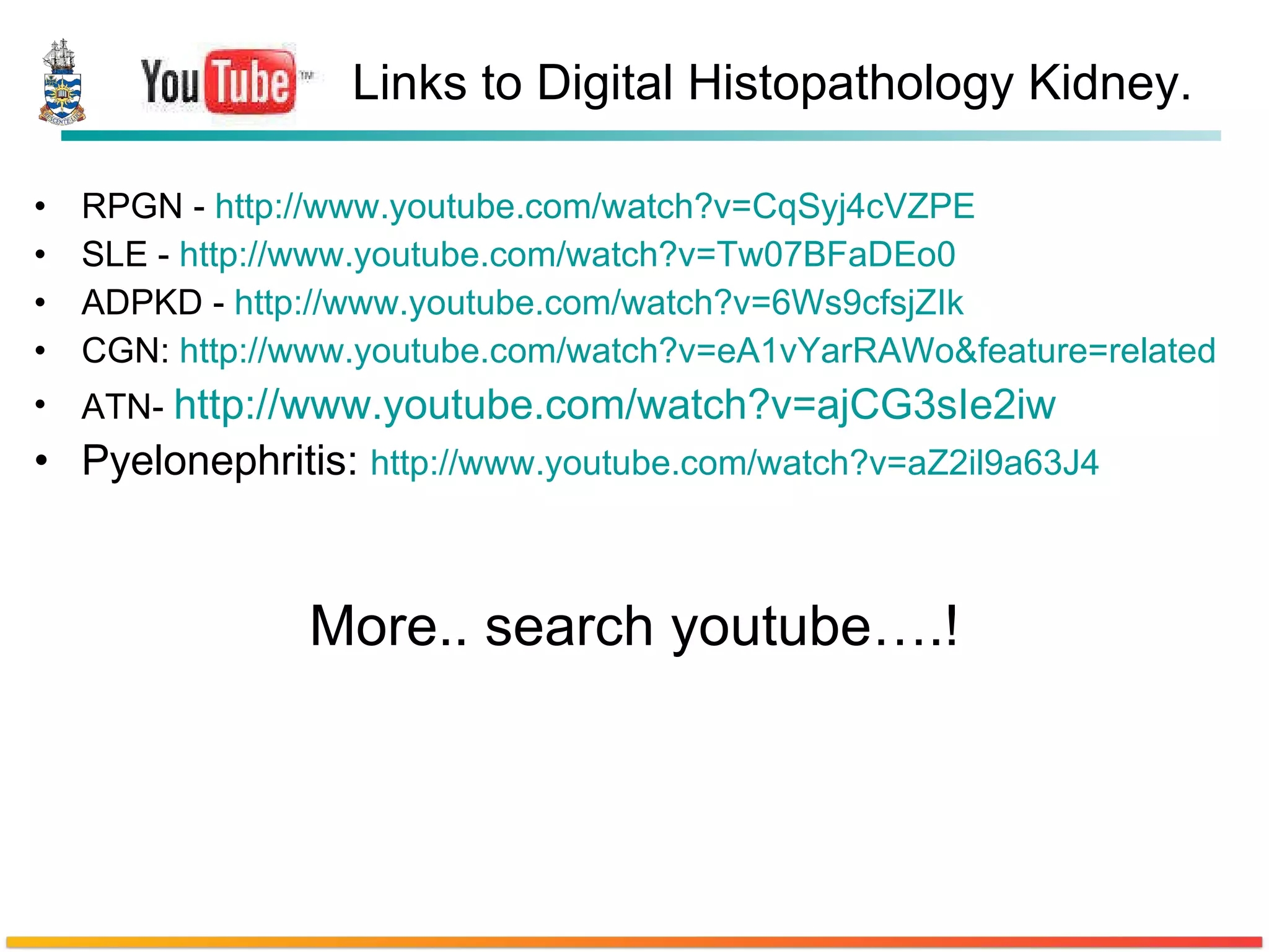 Links to Digital Histopathology Kidney. RPGN -  http:// www.youtube.com/watch?v =CqSyj4cVZPE SLE -  http:// www.youtube.com/watch?v =Tw07BFaDEo0 ADPKD -  http:// www.youtube.com/watch?v =6Ws9cfsjZIk CGN:  http:// www.youtube.com/watch?v =eA1vYarRAWo&feature=related ATN-  http:// www.youtube.com/watch?v =ajCG3sIe2iw Pyelonephritis:  http:// www.youtube.com/watch?v =aZ2il9a63J4 More.. search youtube….! 